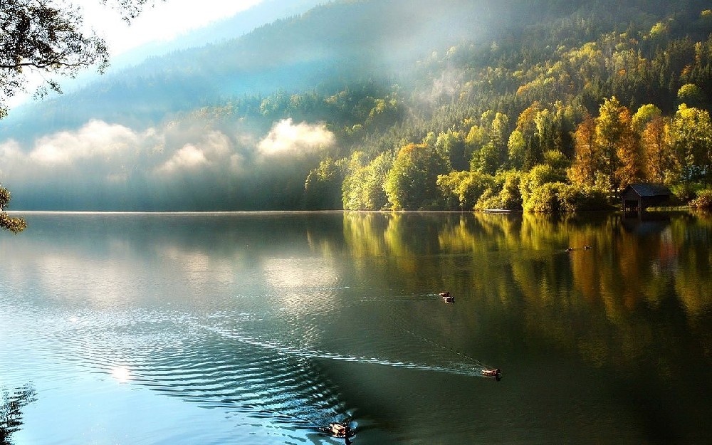 條形開關(guān)的用途